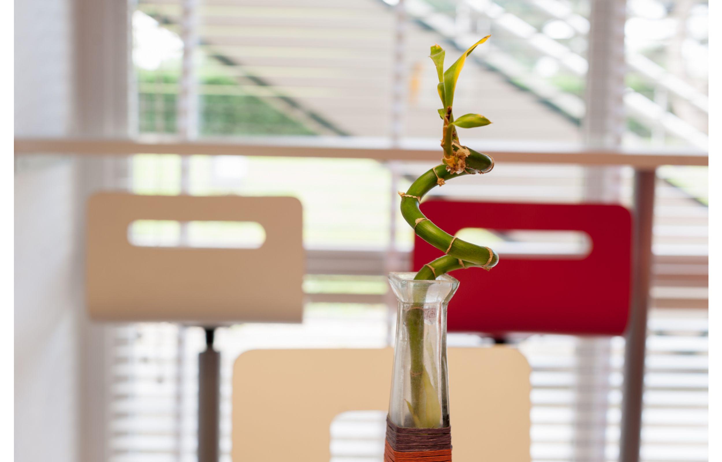 Hotel Premiere Classe Rouen Sud Oissel Saint-Étienne-du-Rouvray Εξωτερικό φωτογραφία